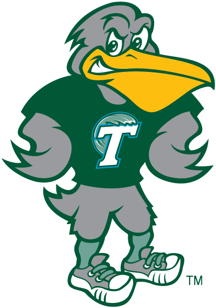 Tulane Green Wave 1998-Pres Mascot Logo DIY iron on transfer (heat transfer)
